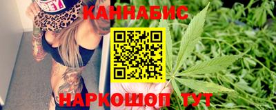 прущие крисы Будённовск