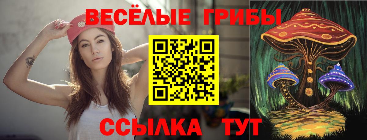 Щёкино  Галлюциногенные грибы Cubensis  Вход с VPN 